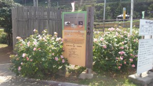 DCIM0206