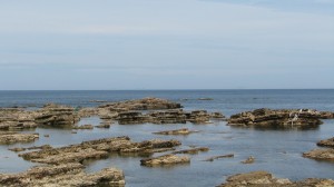 IMG_6898[1]