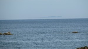 IMG_6906[1]