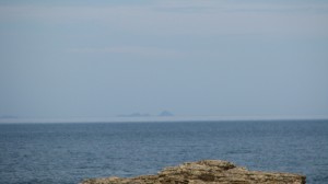 IMG_6909[1]